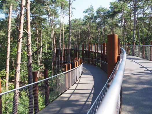 Pijnven, National Parc Forrestland, Overpelt, Hechtel-Eksel and Lommel (Belgium)